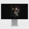 Mugshots 8K Wallpaper Pack