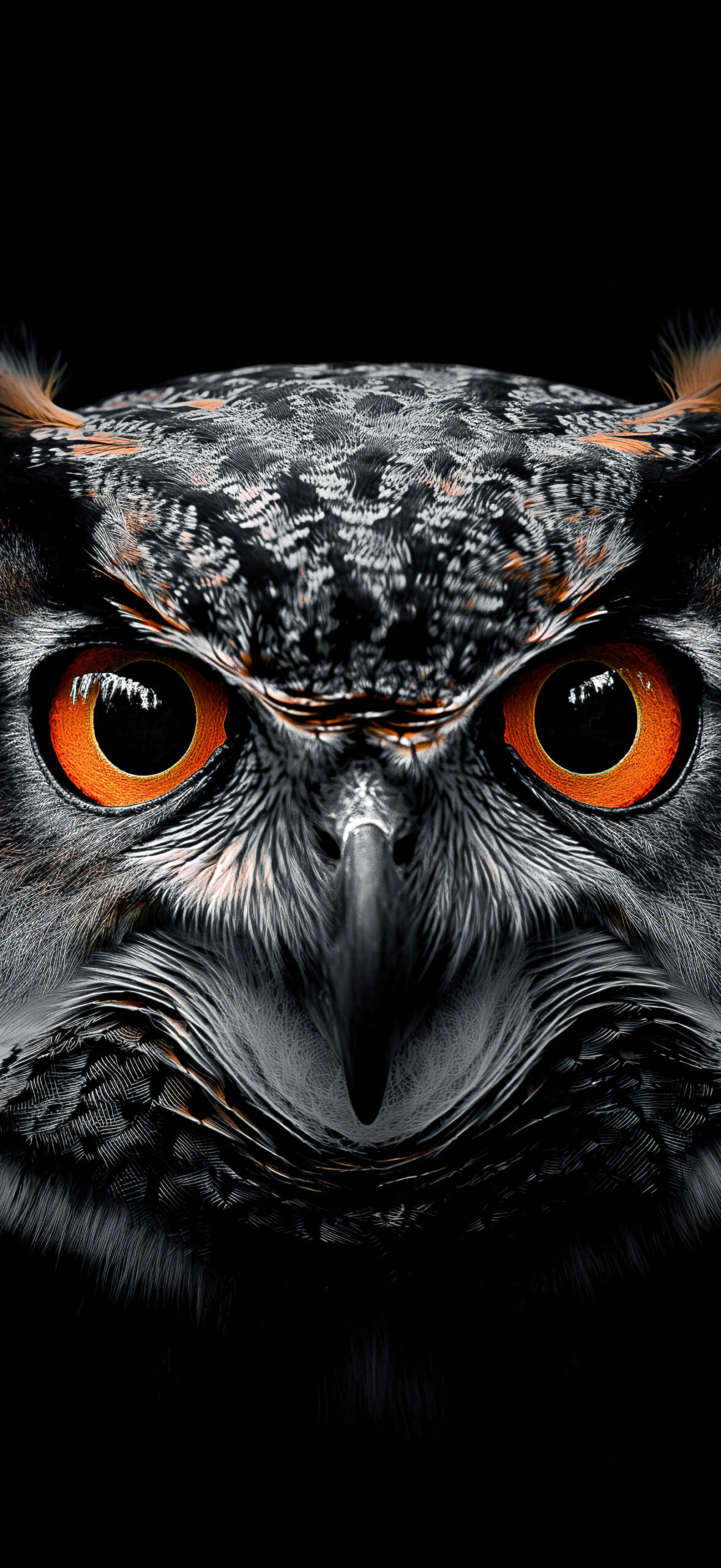 Mugshots 8K Wallpaper Pack - Image 6