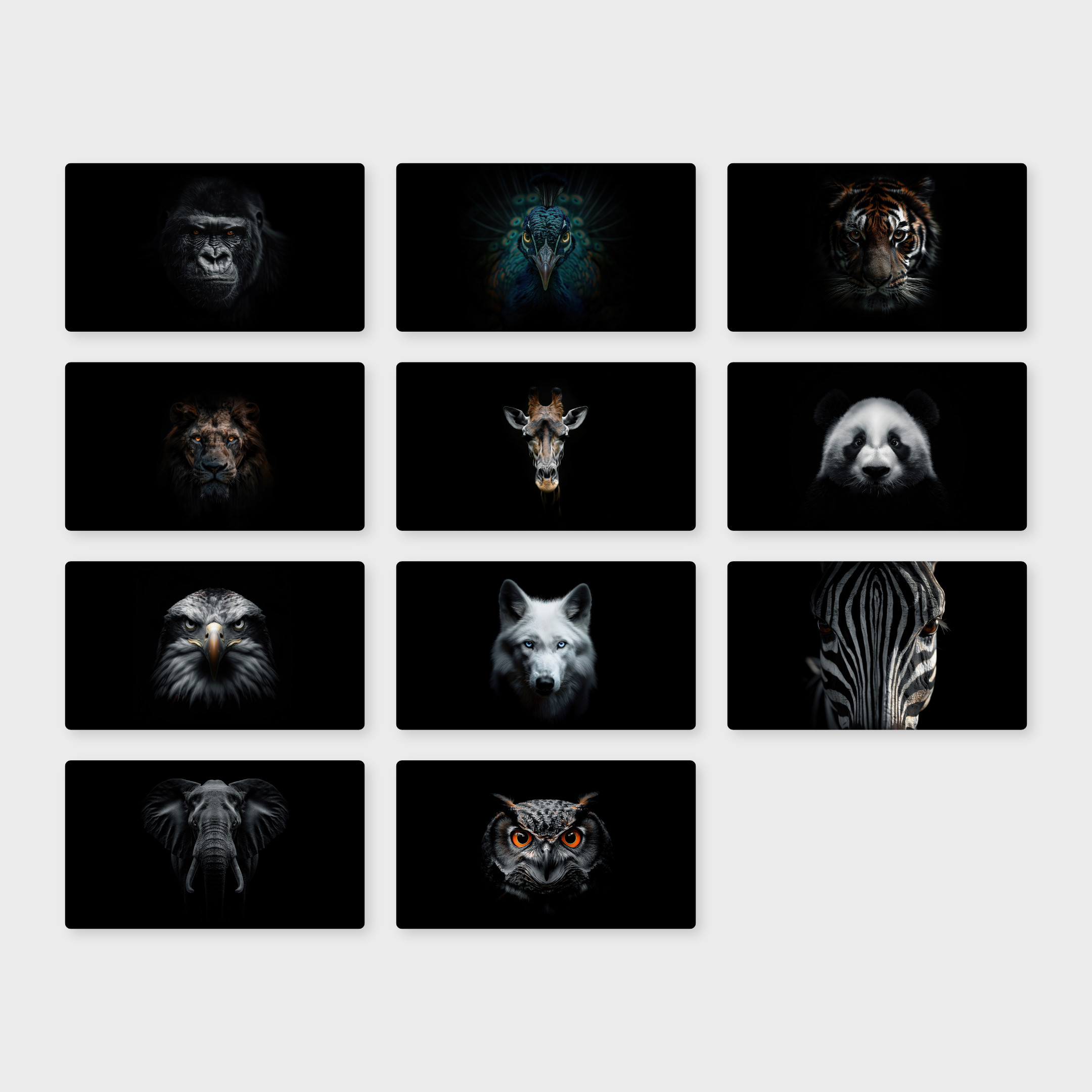 Mugshots 8K Wallpaper Pack - Image 7