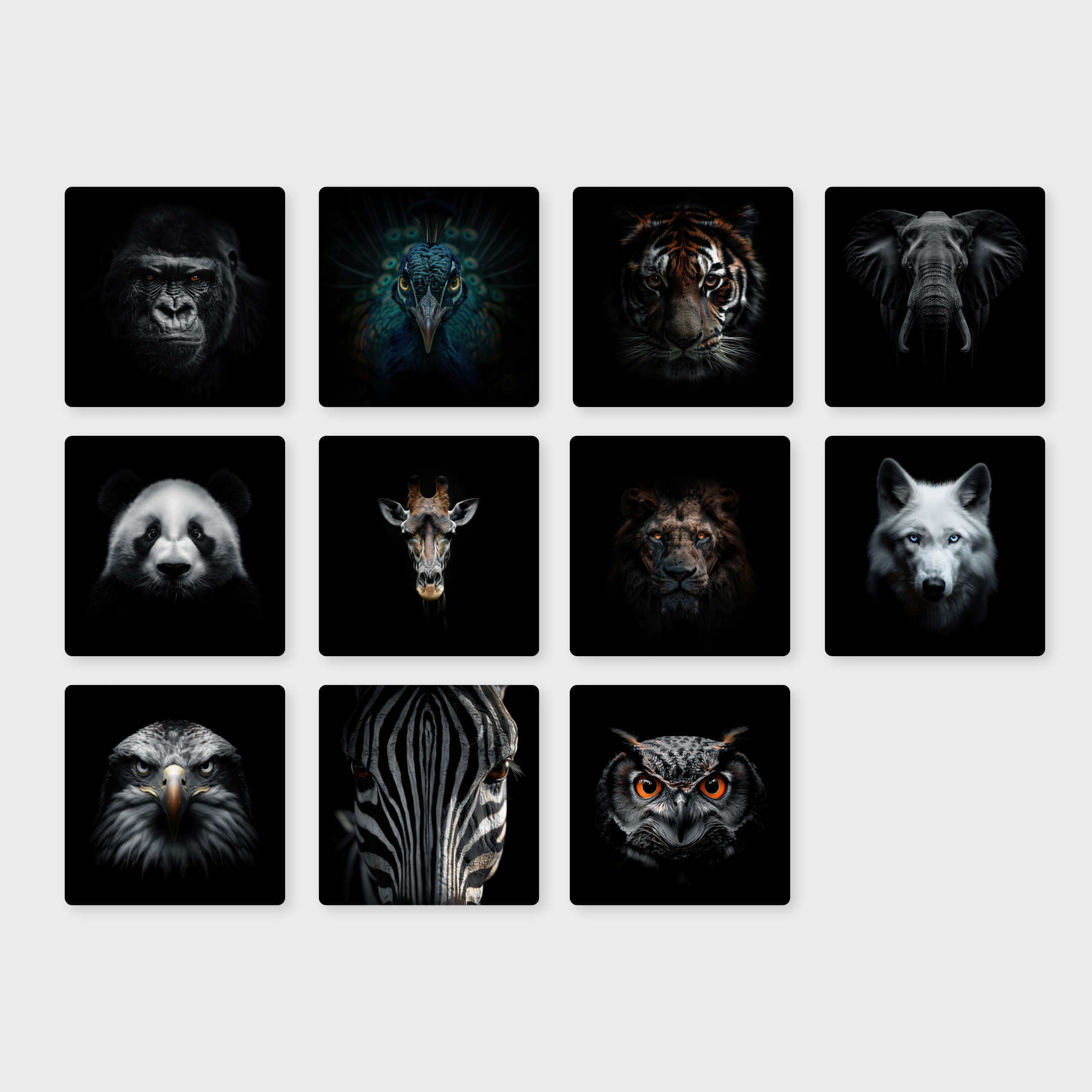 Mugshots 8K Wallpaper Pack - Image 8